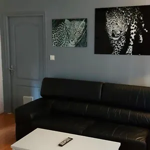 Appartement Cosy T2,centre,wi Fi,tram,bus,proche Opéra,facs, Saint-Etienne (Loire)